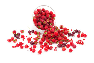 Sweet flavorful raspberry ,currants, gooseberries .