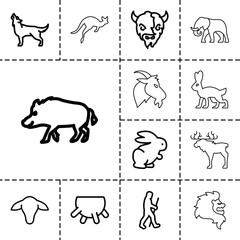Mammal icons. set of 13 editable outline mammal icons