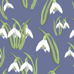 Fototapeta na wymiar Spring snowdrops seamless pattern. Vector illustration on blue background
