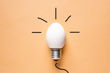 Light Bulb Egg shell on Base Concept  Energy Saving