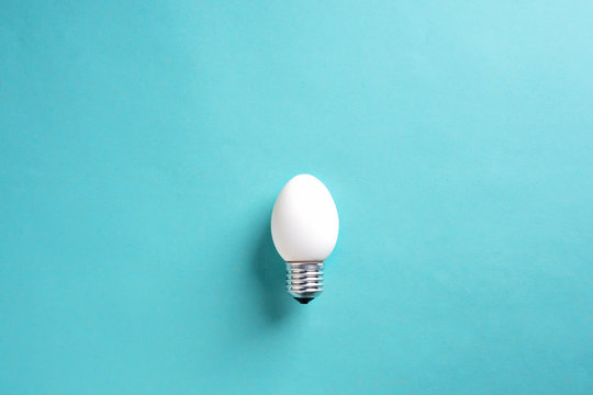 Light Bulb Egg shell on Base Concept  Energy Saving