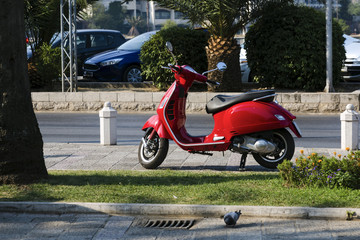 the red moped