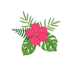 Tropical flowers - hibiscus, protea, plumeria, bird of paradise and magnolia, sketch style vector illustration isolated on white background. Colorful realistic hand drawing of exotic, tropical flowers