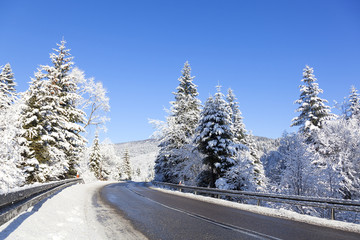 Fototapeta premium Road between snowy trees