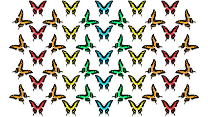 butterflies in order of chess board, all colors of the rainbow