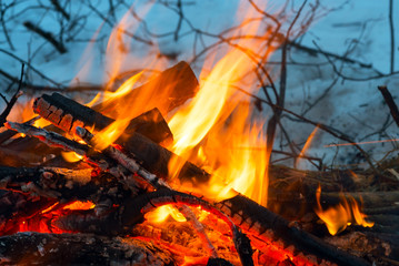 The fire in the winter woods .Bright flame of fire.
