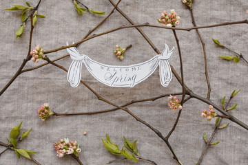 flowering spring branches with message: welcome spring