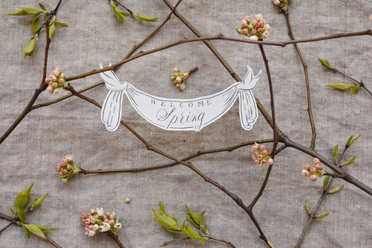 flowering spring branches with message: welcome spring