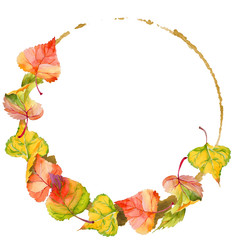 Autumn leaf of poplar wreath in a hand-drawn watercolor style. Aquarelle leaf of poplar for background, texture, wrapper pattern, frame or border.