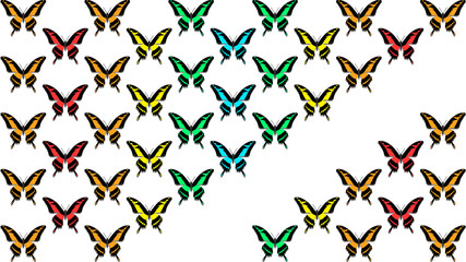 Obraz premium butterflies in order of chess board, with copy space, colors of the rainbow