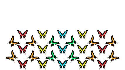 butterflies in order of chess board, with copy space, colors of the rainbow