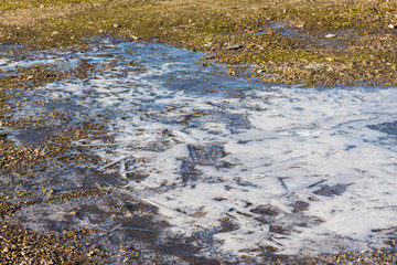 View of a frozen puddle in late autumn.
