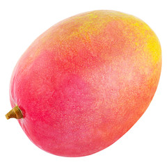  Fresh mango fruit isolated on white