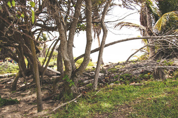 Paraíso escondido 