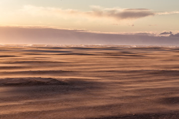 Fototapeta na wymiar les courbes des dunes d'une plages au coucher de soleil