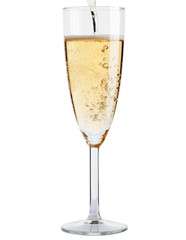 Champagne glass on white background