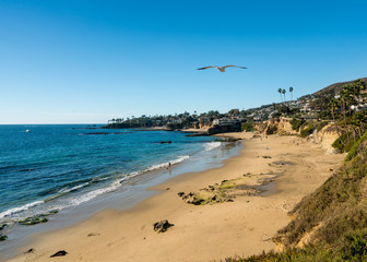 Fototapeta na wymiar View of the coastline at Laguna Beach in California