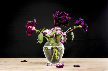 Purple and pink flowers in vase