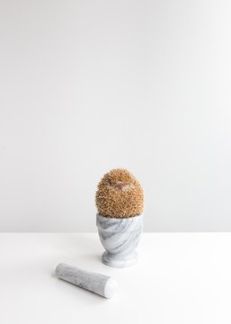 Hedgehog on top of mortar and pestle