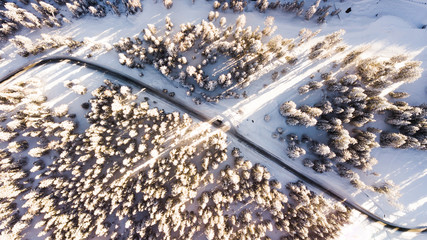 Trees covered in snow with a road in between from above. Aerial picture in Cortina D'ampezzo, Italy.