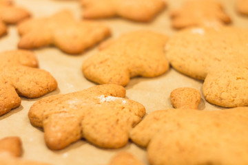 Ginger biscuits lie on a baking sheet. Cookies on baking paper. Selective focus.