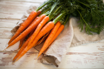 Fresh organic carrot