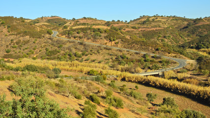Naklejka premium Landscape in Algarve, Portugal