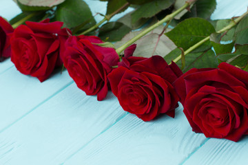 Close up bright red roses on wood. Valentine Day red roses on blue wooden background. Birthday greeting card.