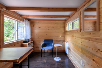 Interior design of a cozy living room in a rustic log cabin.