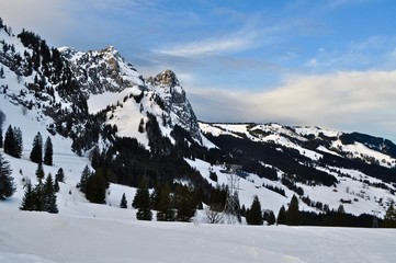 Fototapeta na wymiar Berg Kleiner Mythen im Schnee und Winter, oberhalb Schwyz von der Holzegg / Brunnital fotografiert, Schweiz