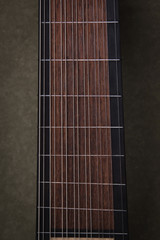 Lute of the 16th century