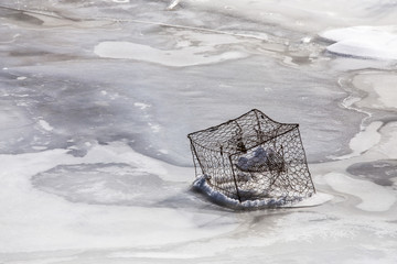 Crab Trap Frozen in the Ice on the Chesapeake Bay in Maryland