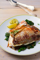 Dorado or dorada fish fillet with spinach, thyme and lime, vertical