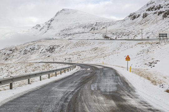 Traffic sign warns of roaming sheep in Northern Iceland