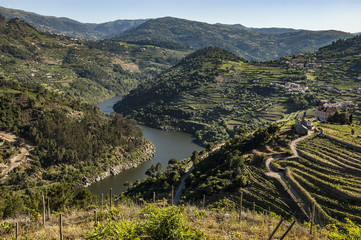 Vale do Douro