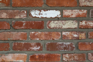 Fototapeta premium Brick Wall Texture
