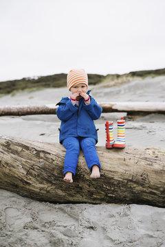 Girl toddler eating lunch on a log on a beach, Golden Bay, New Zealand.