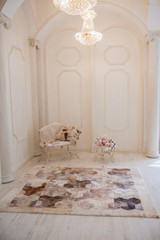 carpet of fur in the interior of the house