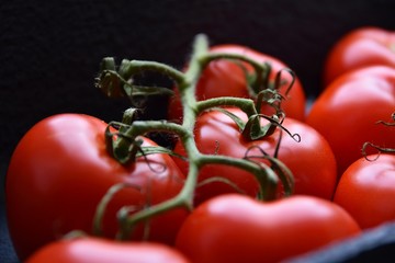 Tomaten - Nahaufnahme