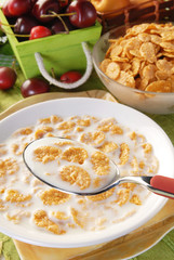 Spoon full of cereals balls and milk    