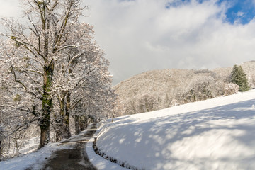 Obraz premium Snow field and forest road