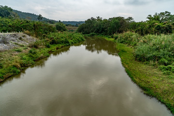 Fototapeta na wymiar River with green trees