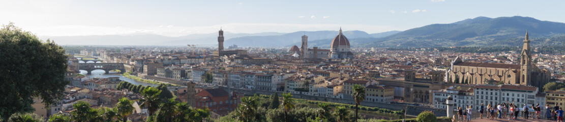 Fototapeta na wymiar Panorama of Florence