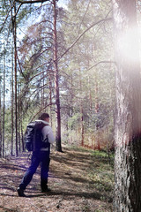 A man is a tourist in a pine forest with a backpack. A hiking tr