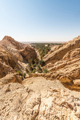 Chebika Oasis in Tozeur, Tunisia
