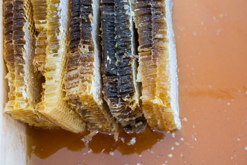 The natural yellow honey as sweet liquid food