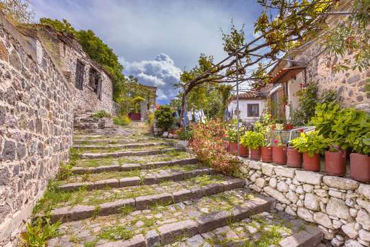 Fototapeta Rock alleyway staircase with gardens on Lesbos island Greece