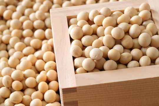 137 Best 節分 Images Stock Photos Vectors Adobe Stock