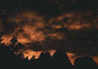 Star Dust