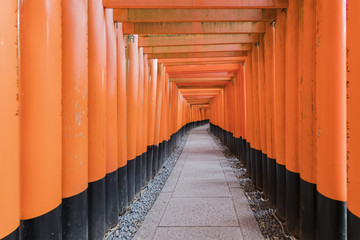 Thousands of vermilion torii gates at Fushimi Inari shrine in Kyoto